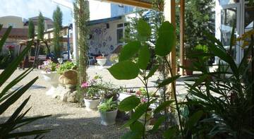 Фотографии Гостевой дом Guesthouse Viola г. Судак Крым (Россия) №3 Фото Гостевой дом Guesthouse Viola г. Судак 3