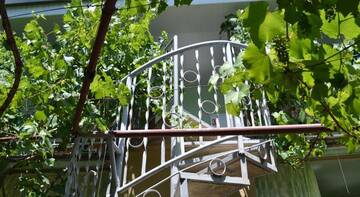 Фото номера Двухместный номер с 2 отдельными кроватями Гостевой дом Guesthouse Galas г. Судак 10