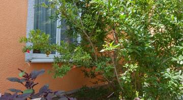 Фото номера Дом с 2 спальнями Гостиница Guest House Leyla г. Судак 6