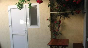 Фото номера Двухместный номер с 2 отдельными кроватями и ванной комнатой Гостиница Guest house Palm г. Судак 11