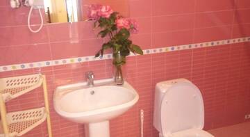 Фото номера Полулюкс 1-комнатный Гостиница Guest house Sofia on Yuzhnoberezhnaya 95 г. Судак 4
